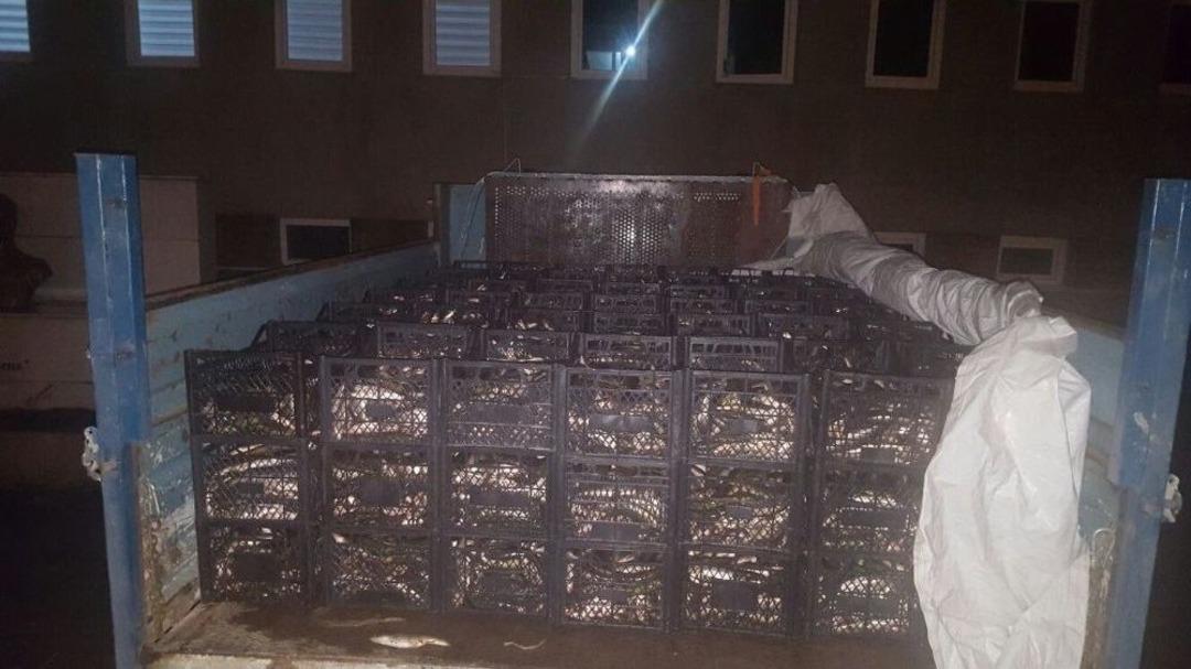 Ahlat Jandarmadan Ka&ccedil;ak Avcılara Ge&ccedil;it Yok