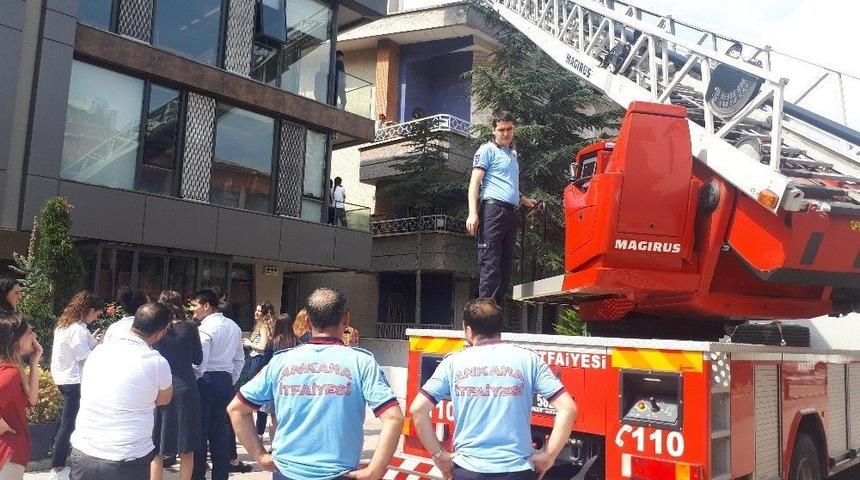 Başkent&rsquo;te Sahibinden Ka&ccedil;ıp Binanın 2. Katına &Ccedil;ıkan Kediyi İtfaiye Kurtardı