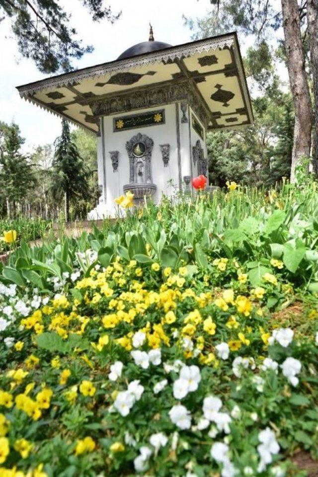 Meydan &Ccedil;eşmesine R&ouml;tuş 1