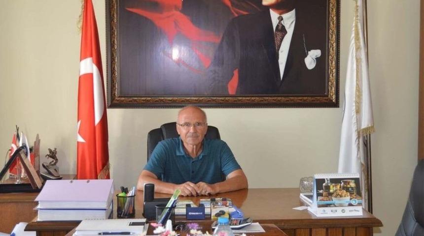 Yağışlar Zeytine Zarar Vermedi