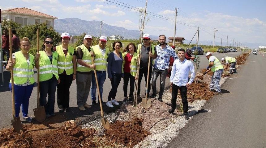 D&ouml;şemealtı&rsquo;nda Bin 300 Fıstık &Ccedil;amı Fidanı Toprakla Buluştu