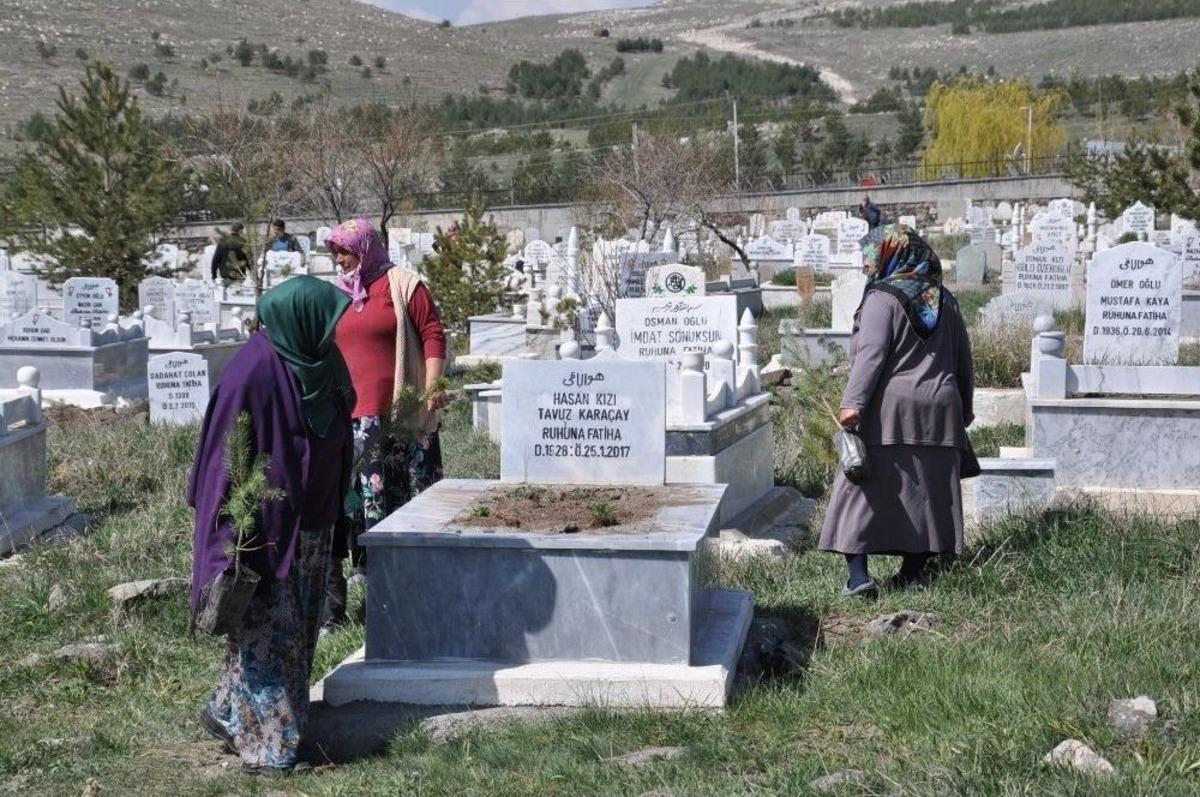 Kars Belediyesi Mezarlıkları Ağa&ccedil;landırıyor