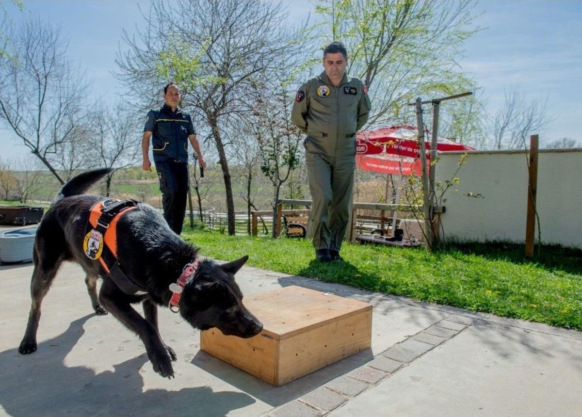 Başkent K-9 K&ouml;peklerine Emanet