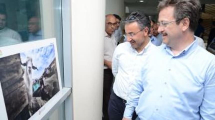 Vali Ünlü, Resim Sergisi Açılışına Katıldı