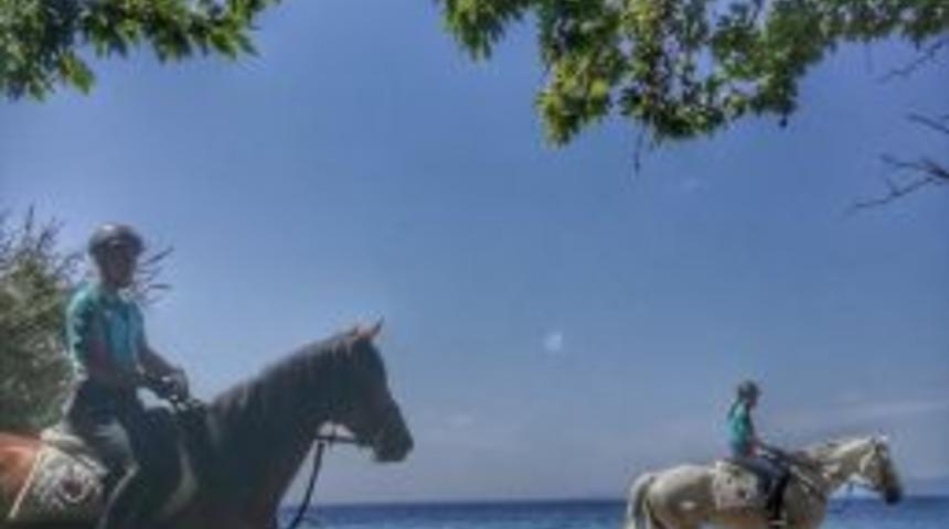 Milli Park’ta 2 Kaçak Göçmen Yakalandı