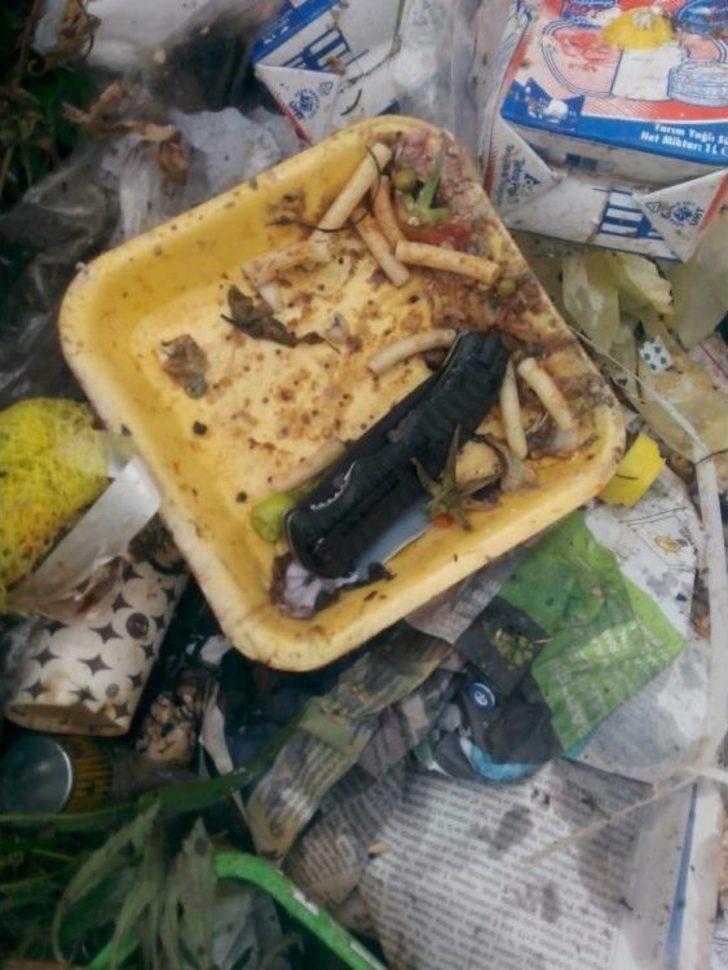 Suriyeli Genç Kadının Katil Zanlısı Öz Amcası Çıktı G4