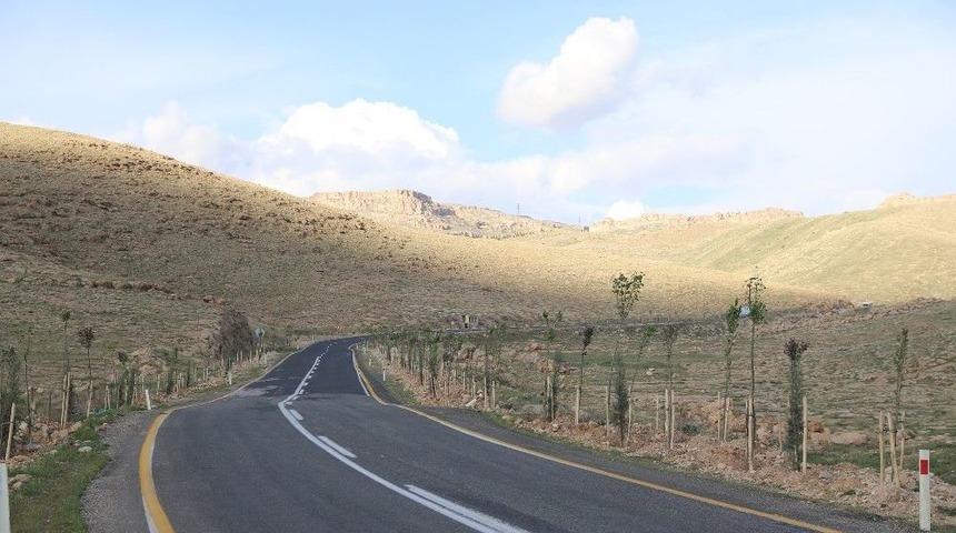 Mardin&rsquo;e Binlerce Fidan Dikildi