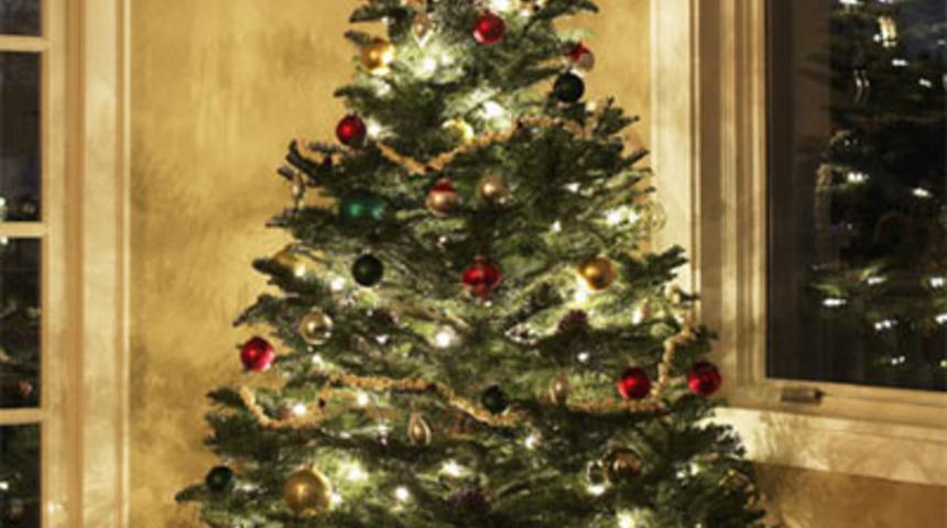 Yılbaşı Ağacı S&uuml;slerken Bunlara Dikkat!