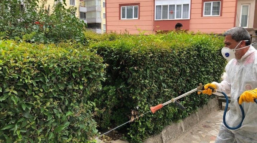 Bilecik&rsquo;te Park Ve Bah&ccedil;elere Kapsamlı İla&ccedil;lama