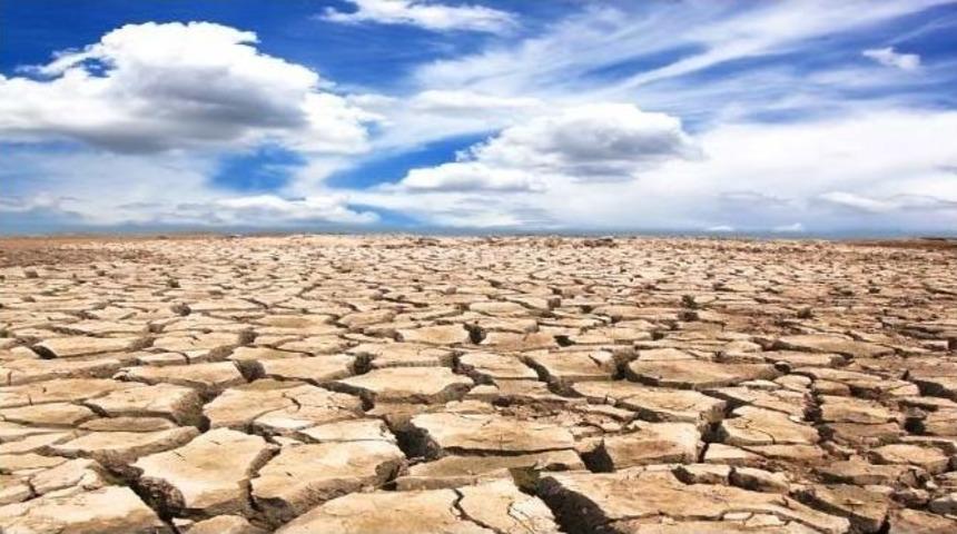 Tema Vakfı Edirne İl Temsilcisi Şirin &Ccedil;oğal: