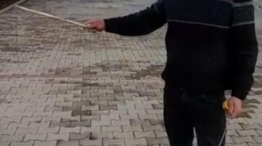 Dikiş İpliğini Andıran Canlı G&ouml;renleri Şaşkına &Ccedil;evirdi