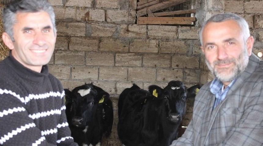 Azerbaycan&rsquo;daki S&uuml;t Sığırcılığının Geliştirilmesi Projesi 3&rsquo;&uuml;nc&uuml; Yılını Doldurdu