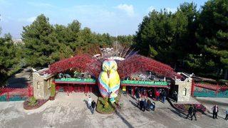 (özel Haber) Erdoğan’a Hediye Edilen Aslanlar İçin Hazırlıklar Başladı