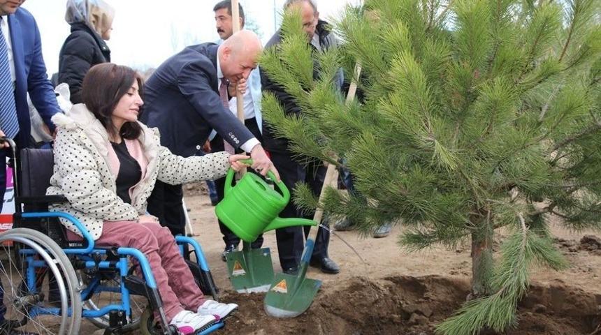 Kocasinan Belediyesi Yeşil Alanda Rekor Kırdı