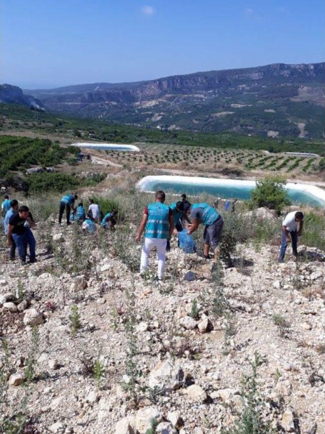 Denetimli Serbestlik Yükümlüleri Fidan Dikti