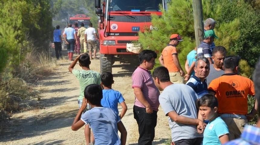 Bozyazı’da Orman Yangını Büyümeden Söndürüldü