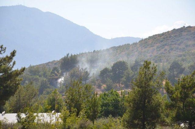 Bozyazı’da Orman Yangını Büyümeden Söndürüldü