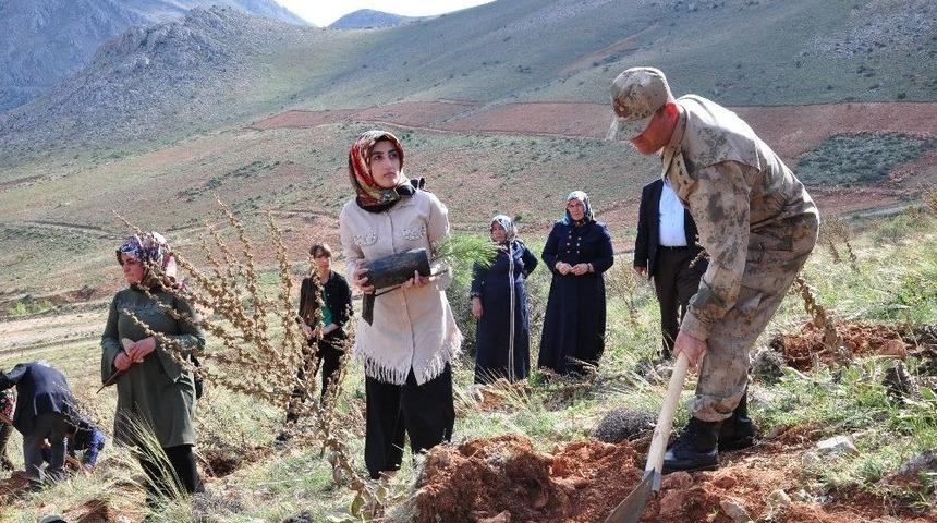 Fidanları, Şehitlerin K&uuml;nyeleri İle Birlikte Toprakla Buluşturdular