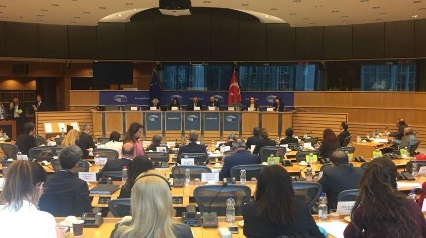 Karayel, T&uuml;rkiye-avrupa Birliği Karma Parlamento Komisyonu&rsquo;nun 77. Toplantısında Konuştu