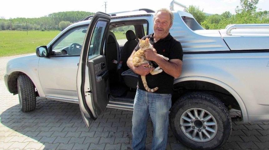 Kamyonette Mahsur Kalan Kedi, &Ccedil;ilingir Yardımıyla Kurtarıldı