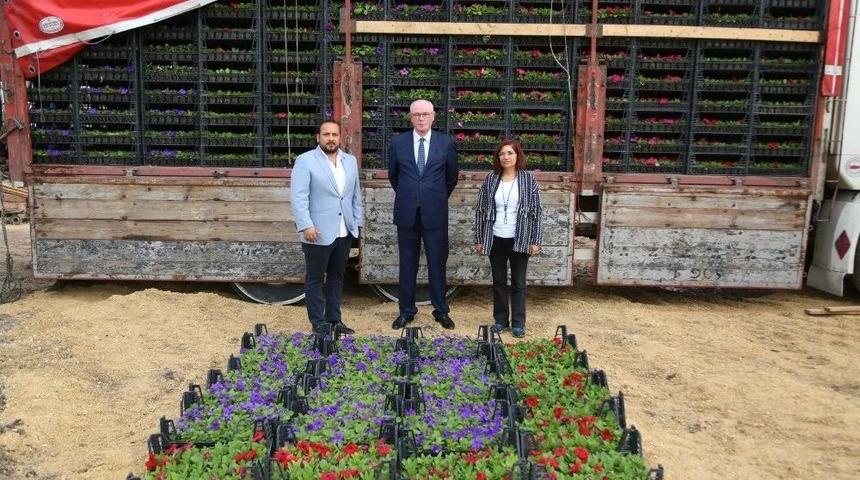 Odunpazarı&rsquo;nı &Ccedil;i&ccedil;eklerle Donatacaklar