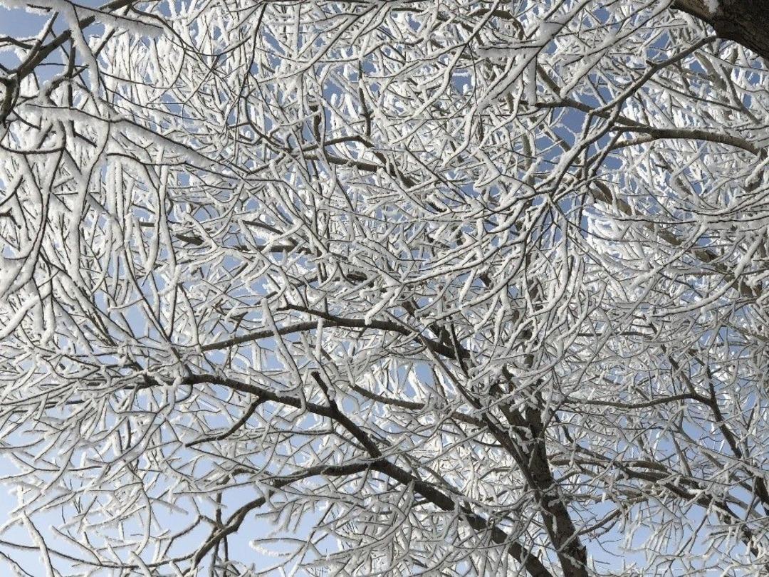 2018&rsquo;in İlk Kar Tatili