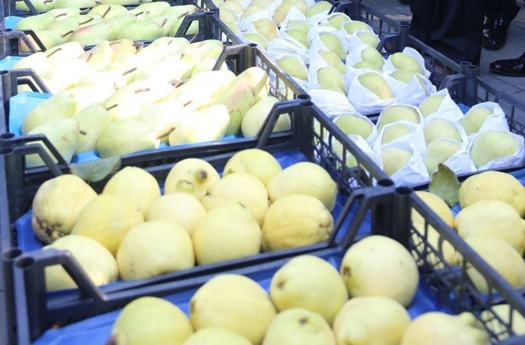 Tarım Şehri Bursa&rsquo;da Meyvecilik G&uuml;&ccedil; Kazanıyor