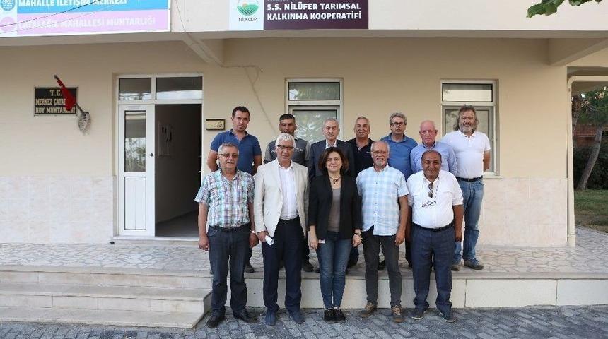 Nil&uuml;fer&rsquo;de Tarım Ve Hayvancılık Hak Ettiği Değere Kavuşacak