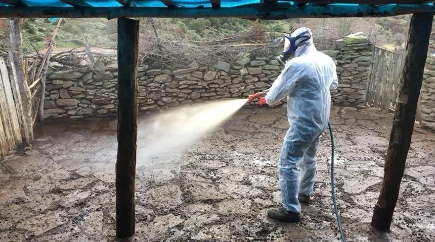 K&uuml;&ccedil;&uuml;kbaş Hayvanlarda Enfeksiyona Karşı İla&ccedil;lama