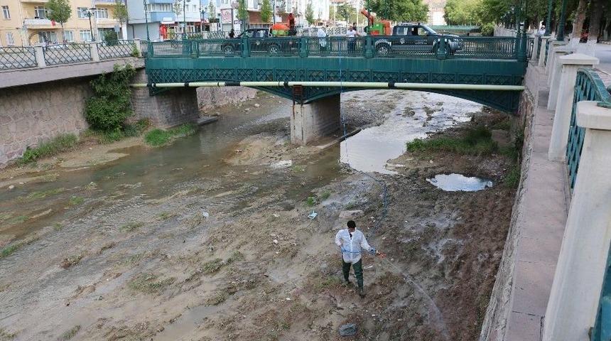 Tatlı&ccedil;ay&rsquo;da İla&ccedil;lama