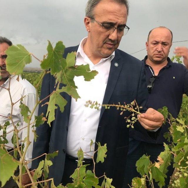 İyi Partili Karaçoban Afetzede Çiftçileri Ziyaret Etti