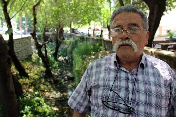 Anıtlar Kurulundan İzin Çıktı, Asırlık Çınarlar Bakıma Alındı G1