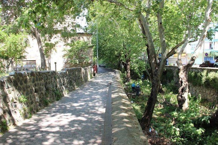 Anıtlar Kurulundan İzin Çıktı, Asırlık Çınarlar Bakıma Alındı G4