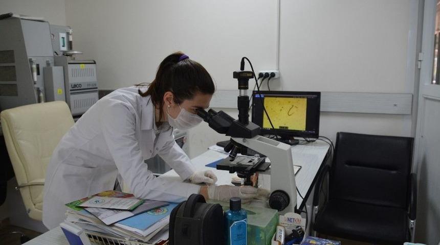 Sarıoğlu: "bilin&ccedil;siz G&uuml;breleme Toprağa Zarar Veriyor"