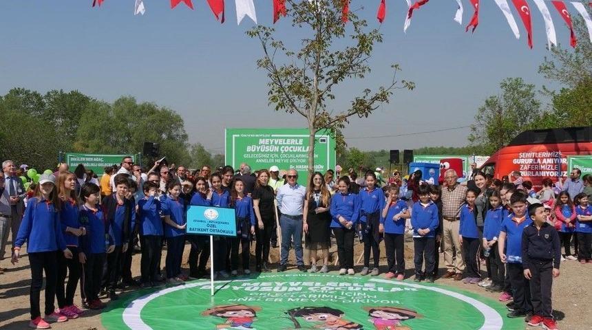 Başkan Akgün: "çocuklarımız Meyve Bahçelerinde Büyüyecek"