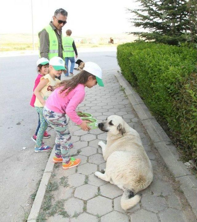 Odunpazarı’ndan Sokaktaki Dostlara Yardım Eli