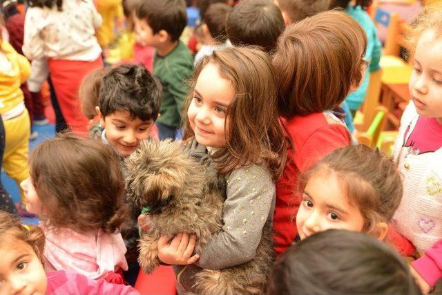 Doğal Yaşam Merkezi Başarılı Bir Yıl Geçirdi