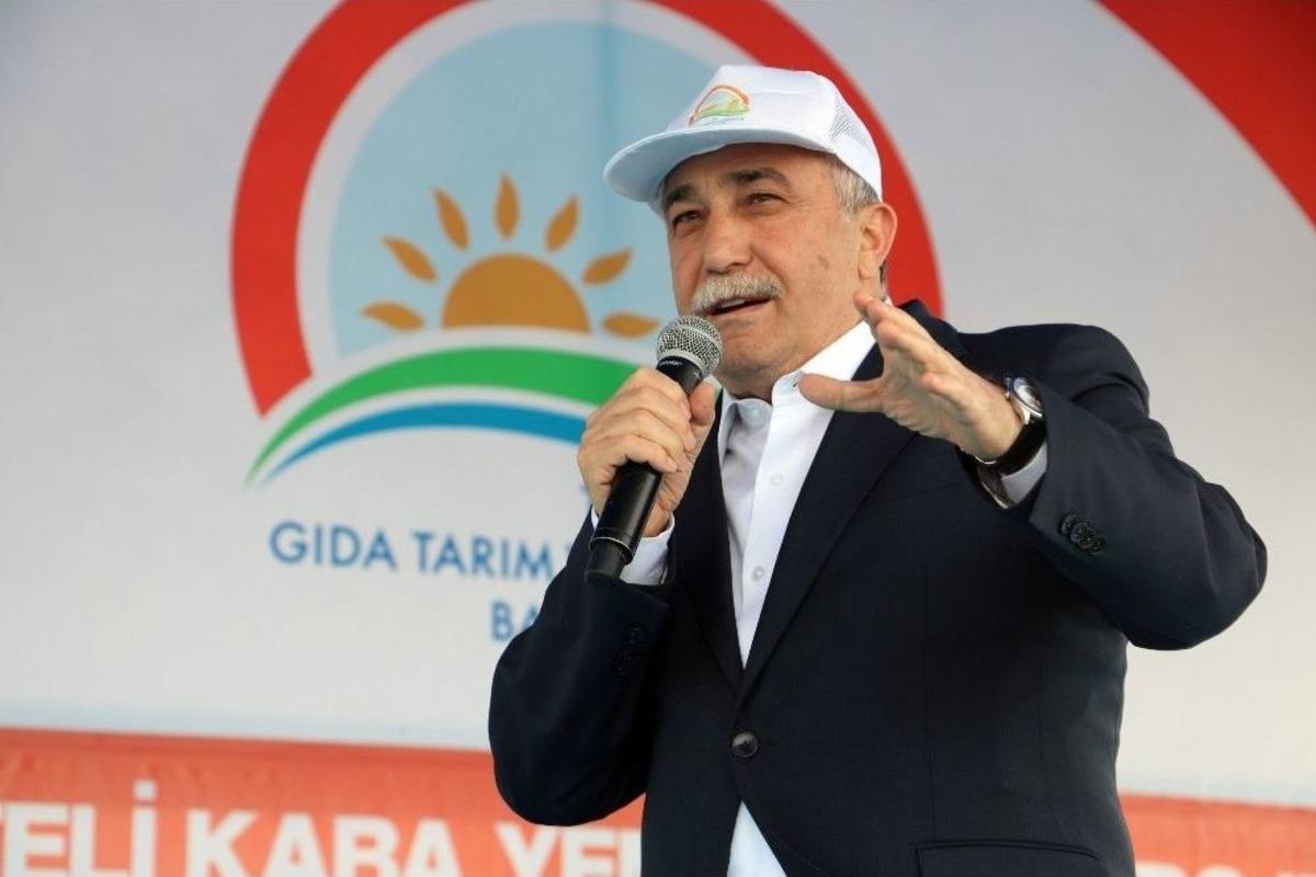 Bakan Fakıbaba: &ldquo;şanlıurfa T&uuml;rkiye&rsquo;nin Kaba Yem İhtiyacının Y&uuml;zde 40&rsquo;ını Karşılayacak&rdquo;