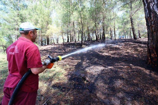 Kazdağlarında Orman Yangını Söndürüldü