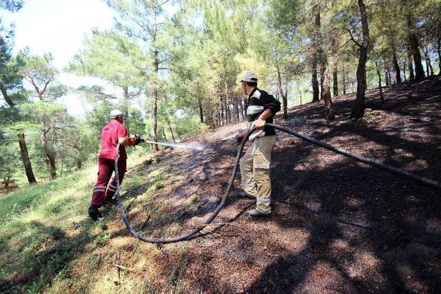 Kazdağlarında Orman Yangını Söndürüldü