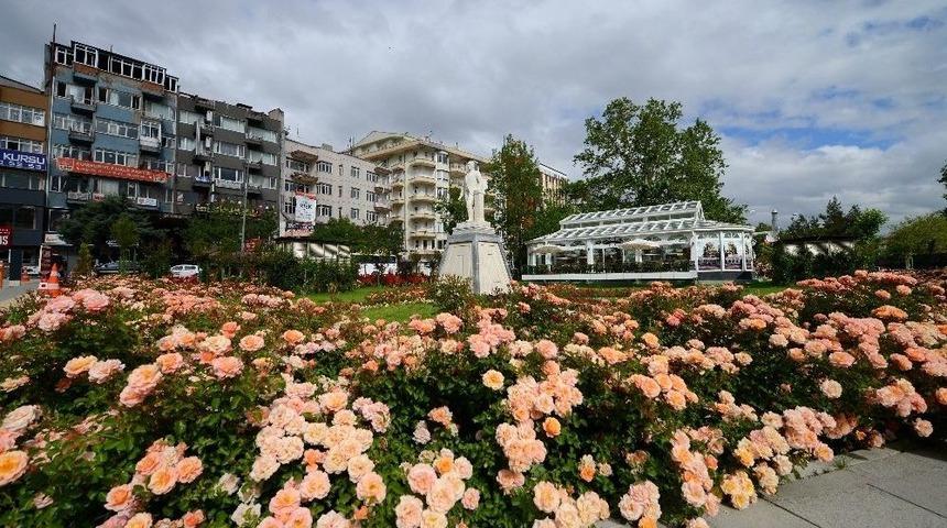 Isparta&rsquo;ya 1 Milyon Dal G&uuml;l