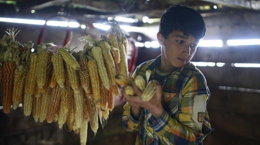 Kısa Film &lsquo;darı&rsquo;ya &Ouml;d&uuml;l