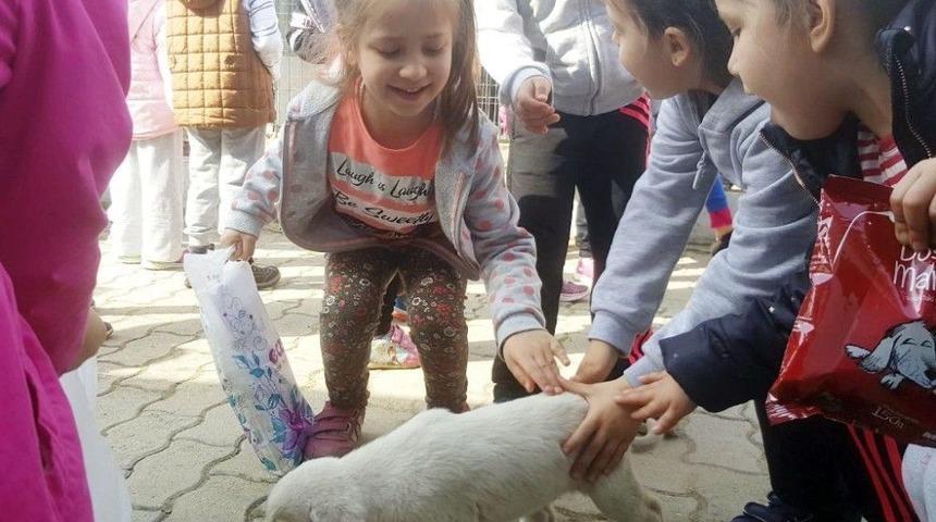 Minik &Ouml;ğrenciler Sokak Hayvanları İle Buluştu