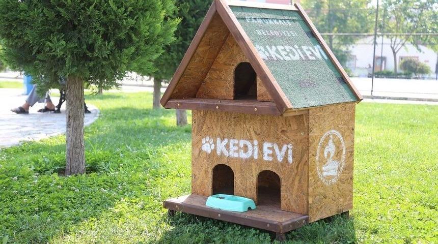 Pamukkale Belediyesi&rsquo;nden Kedi Evi Projesi