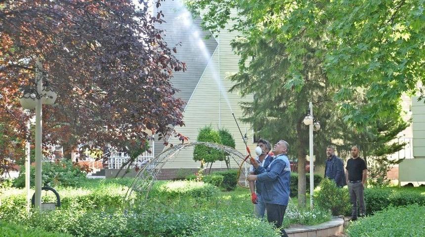 G&ouml;lbaşı Belediyesi İla&ccedil;lamalarını S&uuml;rd&uuml;r&uuml;yor