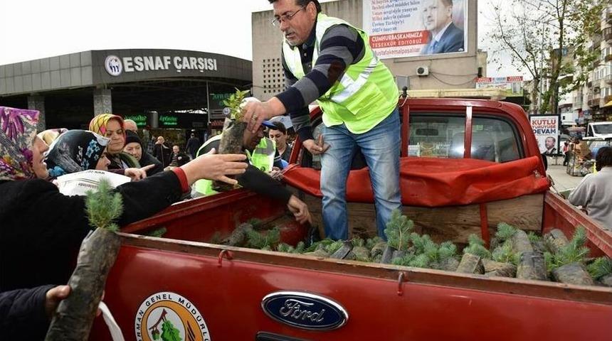 2 Bin Fidan Dağıtıldı