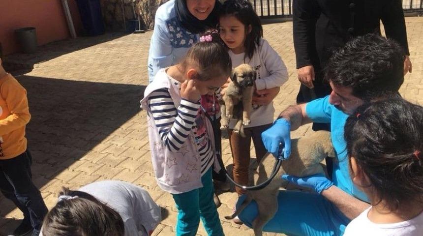 &Ouml;ğrencilere Hayvan Dostu Rozeti Takıldı