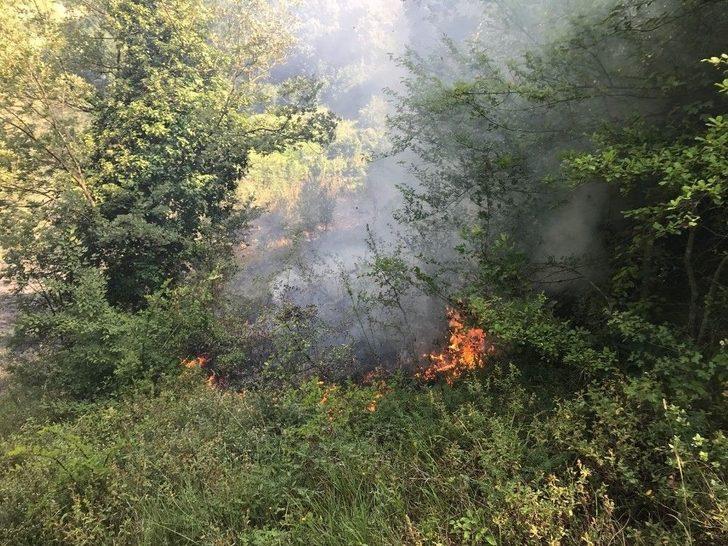 Zonguldak’ta 2 Dönüm Tarla Yandı G5