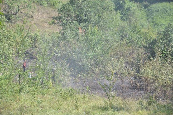 Zonguldak’ta 2 Dönüm Tarla Yandı G3