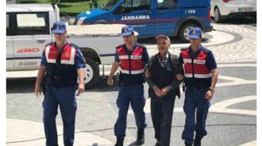 Akşehir&rsquo;de 980 K&ouml;k Hint Keneviri Ele Ge&ccedil;irildi